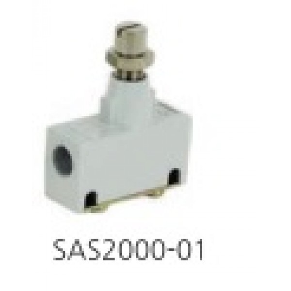 SAS 4000-02